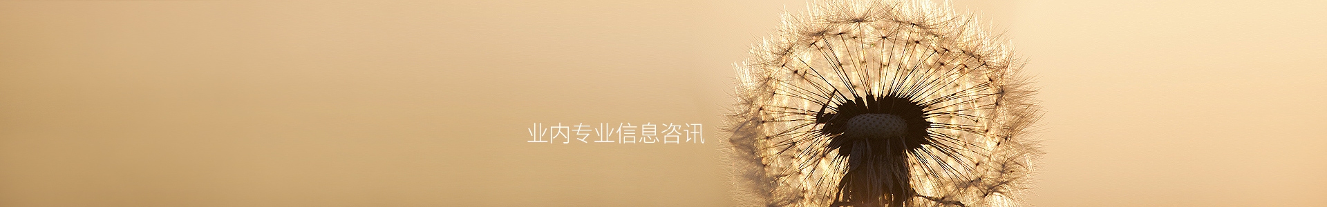miaoanxiang